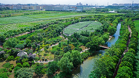 城市湿地公园